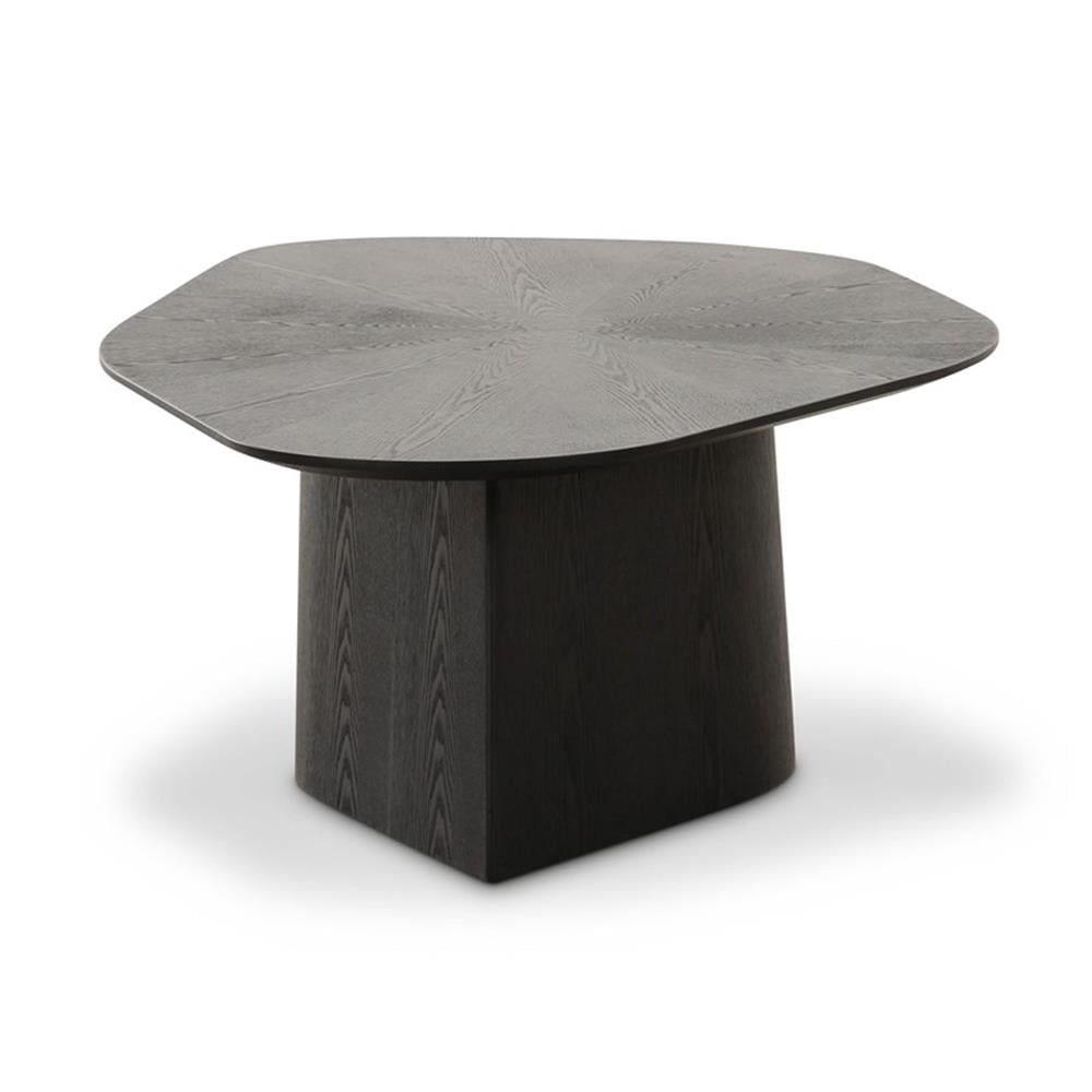 Contemporary Accent Black Ash Geometric Coffee Table