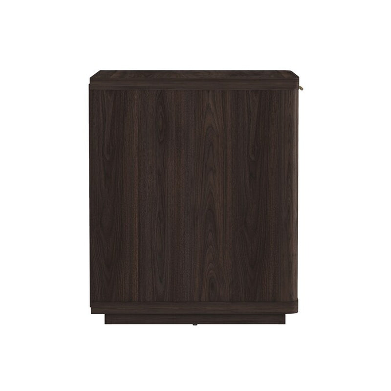 Brown 2 -Drawer 20-In W X 24-In H Modern Nightstand