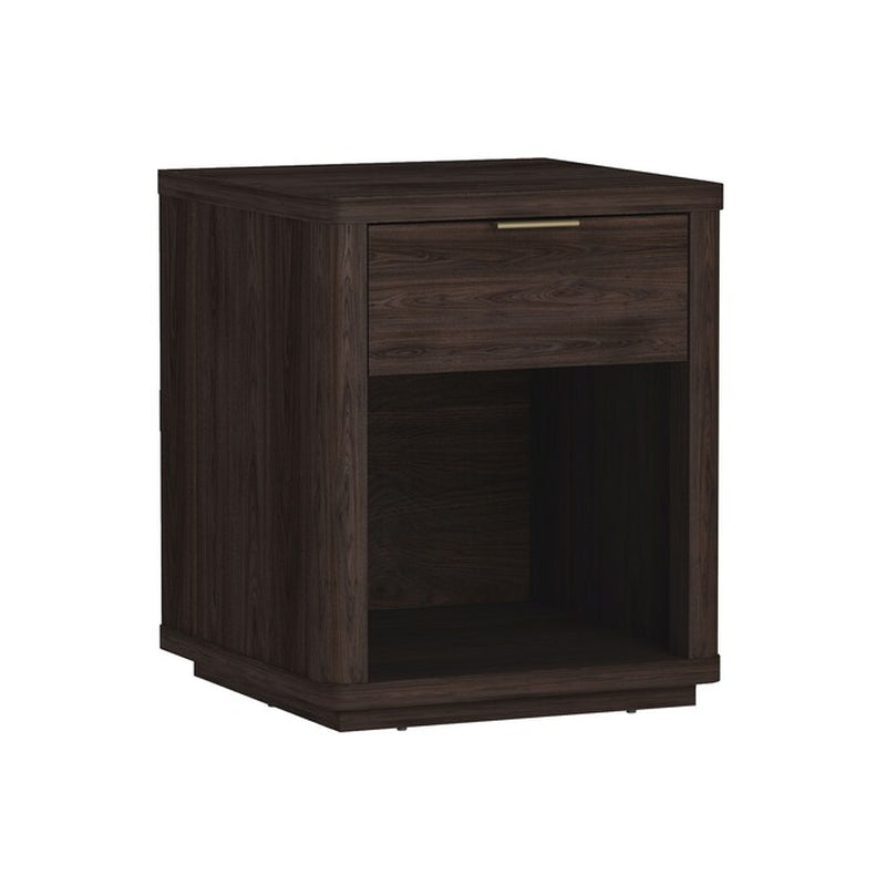 Brown 2 -Drawer 20-In W X 24-In H Modern Nightstand