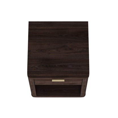 Brown 2 -Drawer 20-In W X 24-In H Modern Nightstand