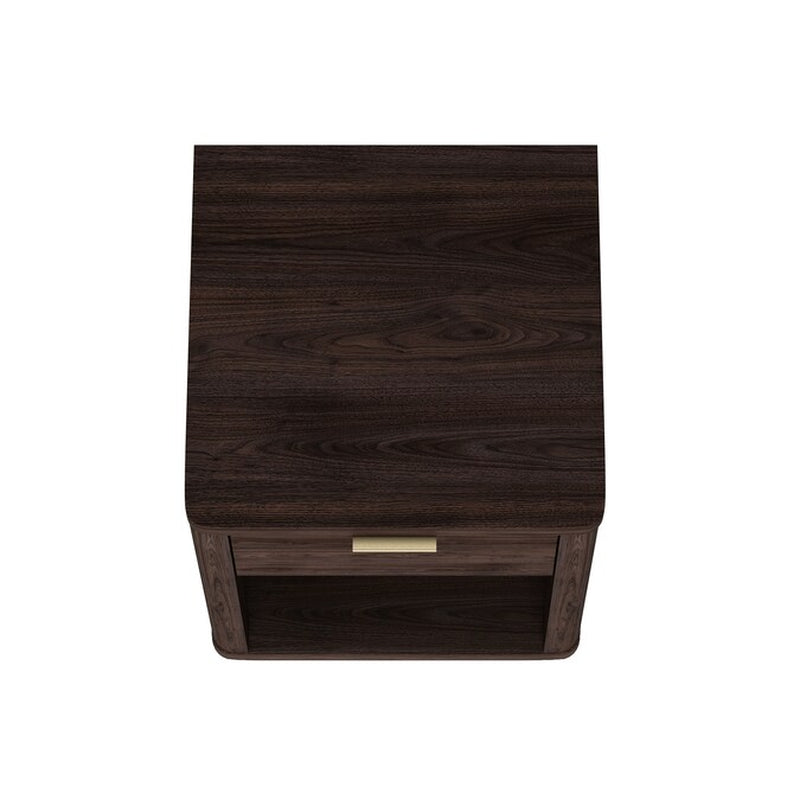 Brown 2 -Drawer 20-In W X 24-In H Modern Nightstand