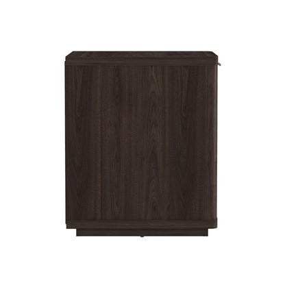Brown 2 -Drawer 20-In W X 24-In H Modern Nightstand