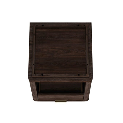Brown 2 -Drawer 20-In W X 24-In H Modern Nightstand
