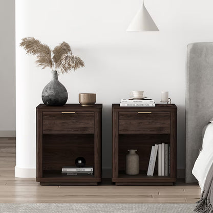 Brown 2 -Drawer 20-In W X 24-In H Modern Nightstand