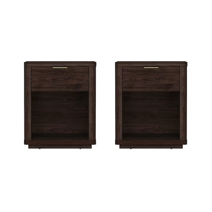 Brown 2 -Drawer 20-In W X 24-In H Modern Nightstand